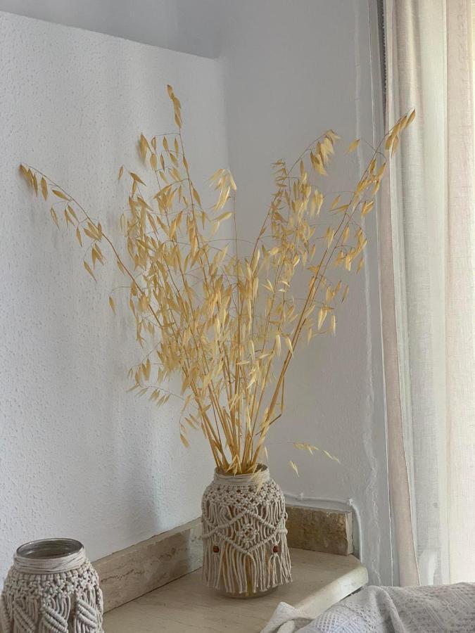 Evi'S House Apartman Ofráni Kültér fotó